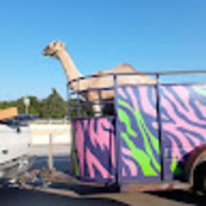 Meet your Posher, Jackie